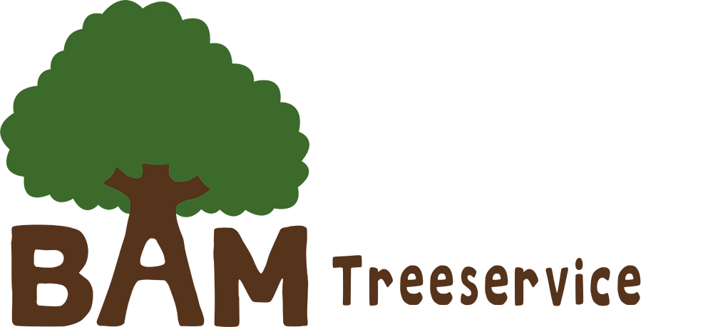bam logo mit schrift 1000px