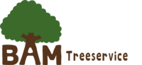 bam logo mit schrift 1000px