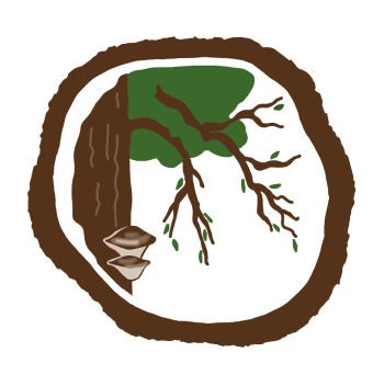 illustration 5